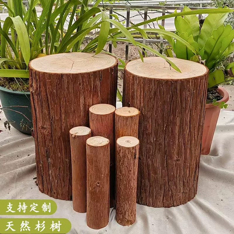 森系天然带皮杉木桩实木茶几凳原木树墩底座服装店庭院摆件造型