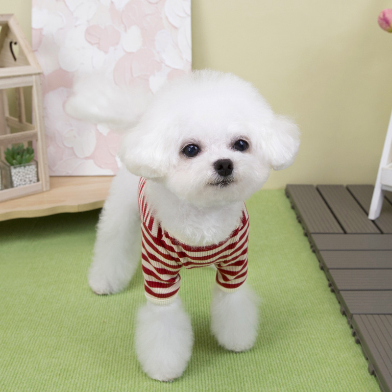 宠物服装小型犬狗衣服猫咪秋冬保暖舒适新款批发25条纹打底衫|undefined