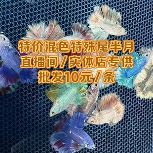 ��ֱ���g������̩�����~����β���򻨰�β���¹��ᎧС���^�p�~