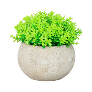 Simulated Succulent Potted Milan Ball Biodegradable Retro Paper Pulp Oval Hemisphere Pot Green Plant Bonsai Amazon Cross-Border