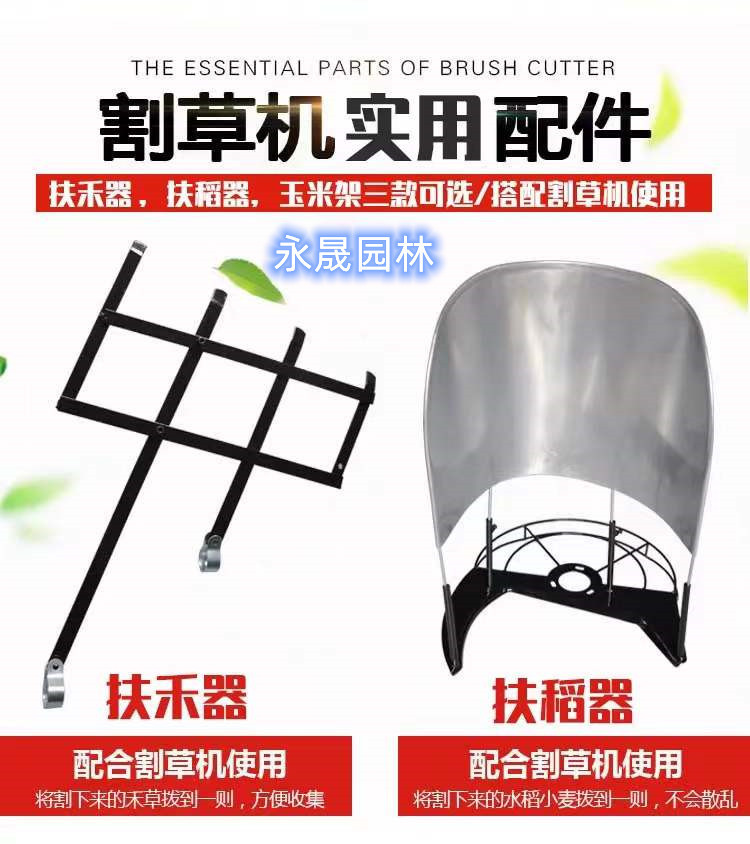 微信图片_20220428112850_副本