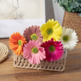 ��ˇƷPU���޾շ��ɻ�INS�L���滨�S�ҼҾ��b羳���l�ٻ���c