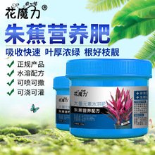 �콶���Ԍ��àI�B���辰�҃������Fɏ�ݼt�~�F���B���ļ�ͨ�÷���