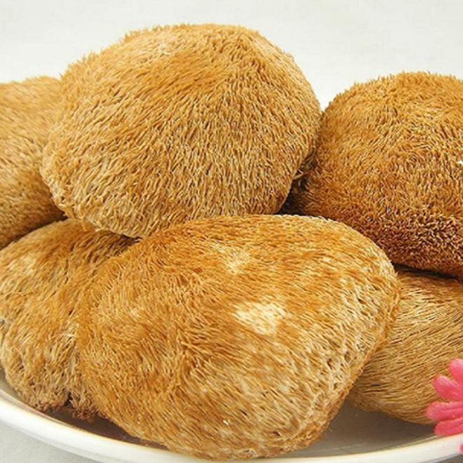 Dried Lion's Mane Mushroom Hou Tou Gu Hericium erinaceus Whole Dried Culinary Mushroom 100g in use