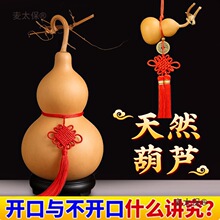 @����J����Ȼ���J��������^�[���_��ľ���J�͏d�k��С����̫��