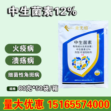 �P�������o�� 12%�������ؼ����Խǰ߲��������rș������80��