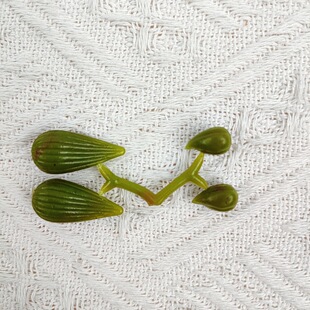 Fruits/Large and Small Nuts/Phalaenopsis Fruit Accessories Bouquet Handmade DIY Jewelry Material Package Hot-Selling Wholesale