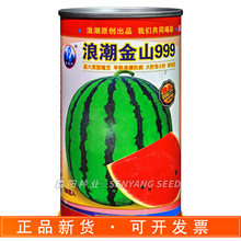 浪潮金山999西瓜种子早熟高糖抗病花皮麒麟西瓜中早熟地雷王甜王