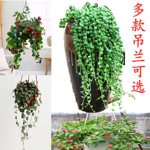 ���m������ڼt��߅���ķ��������҃ȾGֲ���ܻ��~���[�ŵ���÷