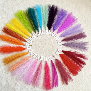 ����˹�� ���R�d�羳���� �JȔ�����b� DIY��� ��������JȔ��