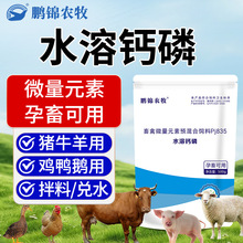 【鹏锦】水溶钙磷速补充微量元素猪牛羊鸡鸭鹅养殖禽畜通用