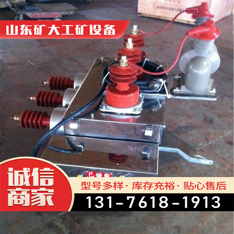 矿大户外高压开关风电风投光伏 真空断路器 断路器隔离开关(刀开