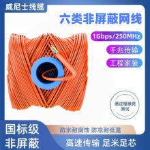 ǧ����W��cat6 utp�o���~28AWG������PVC�o��PE�^��ʮ�ּܳ�ɫ