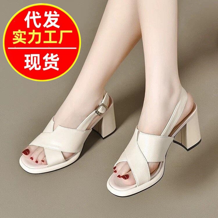Chunky Heel Open-Toe Roman Sandals for Women 2026 Spring/Summer New Style Waterproof Platform Thick-Soled High Heels Simple Women's Shoes