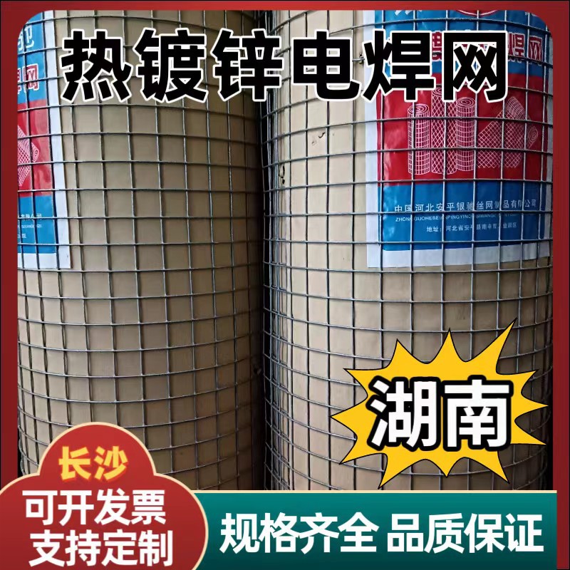 热镀锌电焊网养殖围网防鼠养鸡拦鸭菜园阳台网鸡笼钢丝网铁丝网
