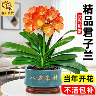 �����m���Կ͏d��Ʒ���Fֲ���ļ��҃��^�p�r���ܾGֲ���B�׻����l