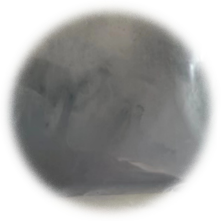 100-200nm高纯纳米二硼化钛纳米TiB2陶瓷材料金属强化剂1kg