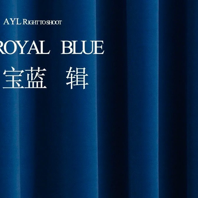 专业哑光丝绒背景布不透商业静物摄影装饰拍照道具搭配电商铁|undefined