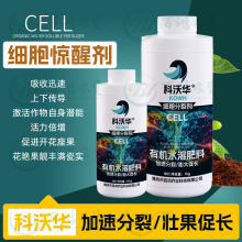 科沃华细胞惊醒剂加速分裂膨果着色促开花坐果果树蔬菜有机水溶肥