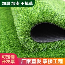 �ٲ�ƺ�|�ӾGɫ���ϵ�̺����و�������������׃��@�b��˹���Ƥ