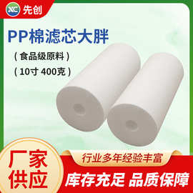 10寸大胖PP棉熔喷滤芯 净水器直饮水机过滤水器PP棉大胖滤芯现货