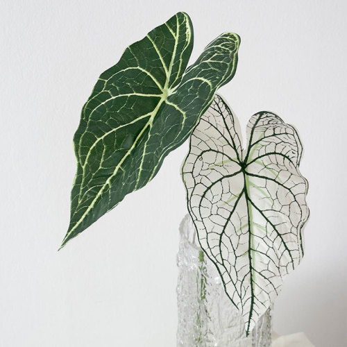 Alocasia leaf simulation flower forest leaf material wedding decoration plant simulation green plant indoor living room flower arrangement Guanyin lotus