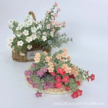 �羳ֱ�N20�^��˪�ȼ���С�r�շ��滨С�������Ҿ��b�c����