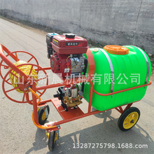 担架式蔬果秧苗打药机 高压汽油喷药机园林绿化喷药机