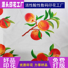 源头网布印花面料 莱卡布 印花弹力布尼龙塔丝绒酸性数码直喷印花