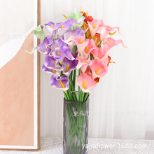 �R��ɏ���滨�Ҿ��bٻ��zӰ���߷��滨�߼��б���羳���Q�F؛