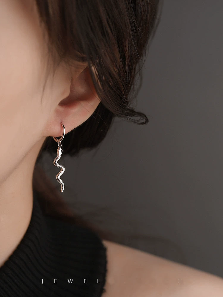 Earrings for beloved, punk style