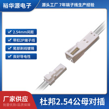 2.54���Ӿ� ��������^���Ű�Ӿ���ĸ����Ӿ�