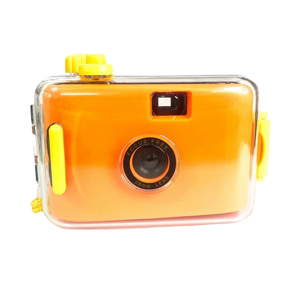 Orange yellow shell