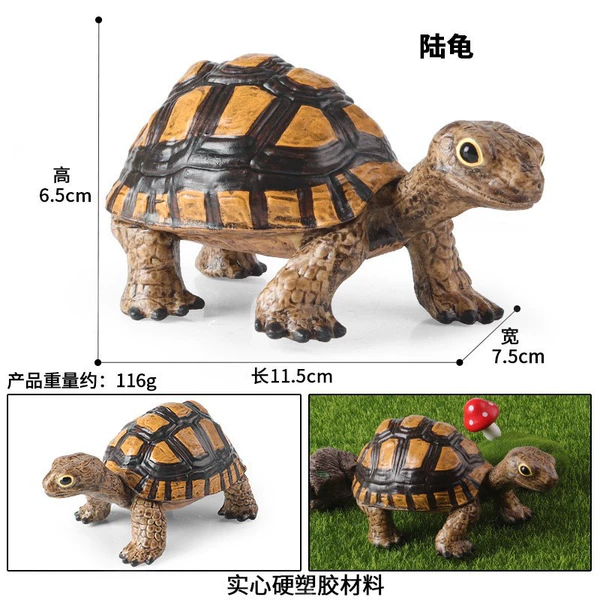 M-3259 turtle