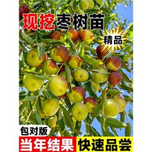 ��������ش󶬗��޽ӹ����ش�ȫ���ɷNͥԺմ���������箔��Y��