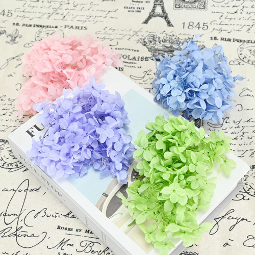 Magic flower eternal flower domestic A-grade wooden hydrangea 4 grams diy material package jersey handmade flower small Valentine's Day gift