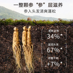 Ginseng Shampoo Smooth Oil Control Hair Care Shampoo Cream Shampoo Liquid Shampoo Factory Direct Supply Wholesale Delivery