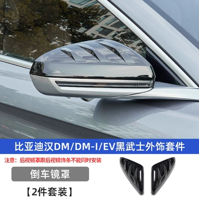 Applicable to 20-25 BYD Han | Automobile anti-insect net - han-blackening-kit-reverse-mirror-cover
