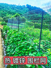 �ȶ�п��˿����������֯��©����ɸ������ֳ��Χ�����Ӵַ�����