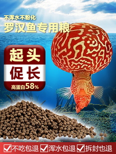 ̩���M���_�h�~��ω����^С�w���������^���^��ɫ�Ꭷ�~�W�^�~ʳ