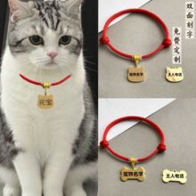 (ٛ����K)����؈���Ȧ������ݷ��߁G����ƿ��֌���̩��Ȯ����