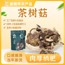 干茶樹菇150g工廠批發不開傘食用菌蘑菇類煲湯材料一件代發