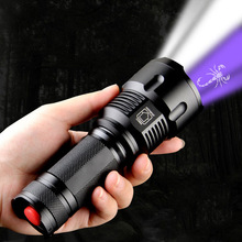 ����˫��Դ�ֵ�Ͳǿ��Զ�������佹�ֵ�T6�׹�395nm�Ϲ��ֵ�Ͳ
