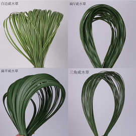仿真扁叶绿线条软胶钢草DIY插花造型咸水草仿真植物铁线绑花蒲草