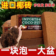 Ҭ�u�I�B���B���N��ͨ����Ҭ����Ҭ���N������������Nֲ��Ү�u��