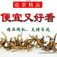 鱼缸水缸造景妖精森林景观素材莫斯树形沉木杜鹃根树枝厂跨境批发