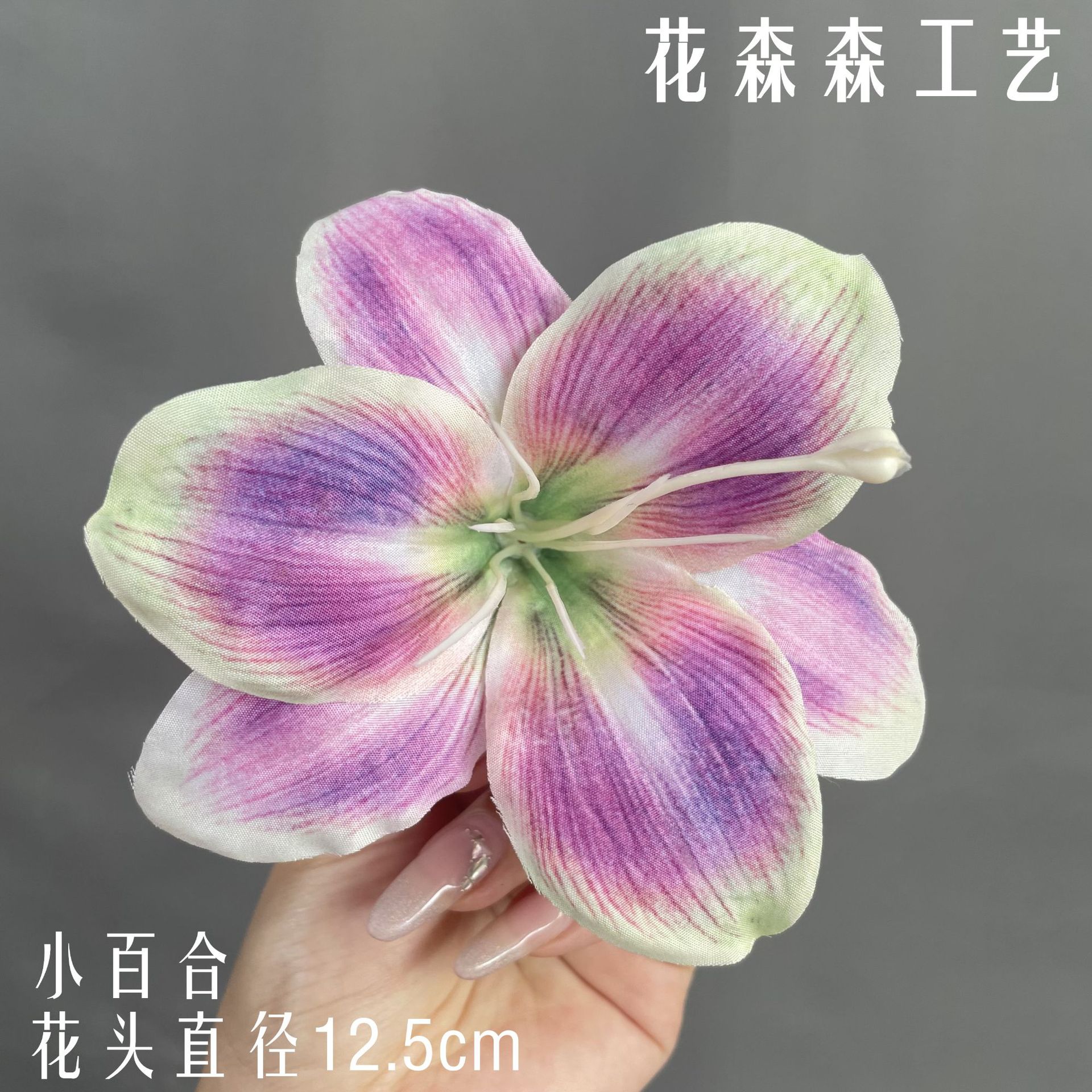 컬러 6