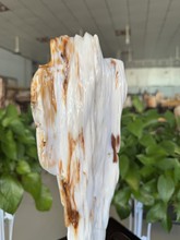 缅甸树化玉东岛老坑高冰鸡油黄玉石奇石原石矿物家居摆件收藏佳品