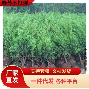 ��u�ش̰،������ɰ؂Ȱ����ر������Ĺ���ɒ�Ĺ�Ɉ@�־G����ľ