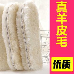 ����ëЬ�|Ƥëһ�w��Ů���������޼Ӻ�ë�q��ů�S��ֱ�N���l���l